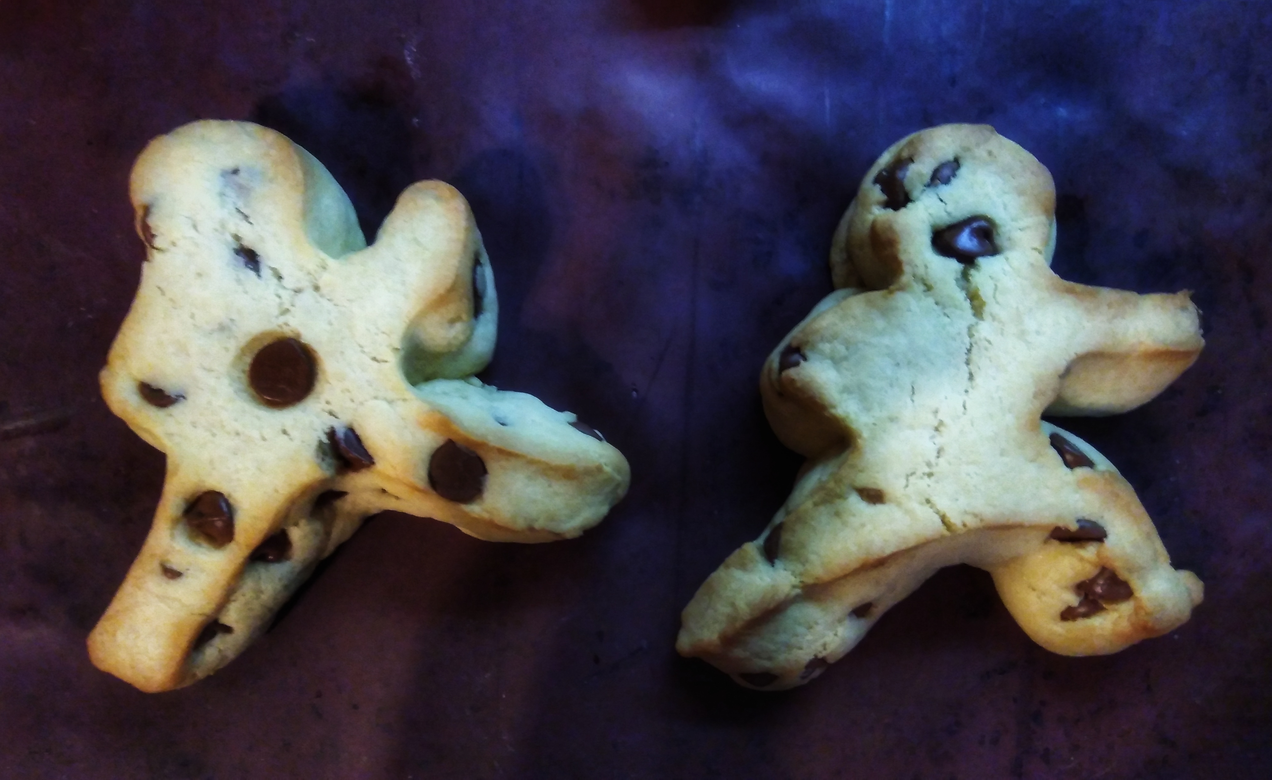 Nitz Cookies From Scratch